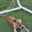 초계초등학교 이미지