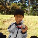 별을그리는아이어린이집 이미지