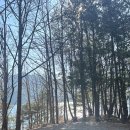 상촌시장 | 충주여행 , 충주호 캠핑월드 후기