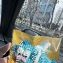 2023 나는 불후의 편곡자다 | 소멸의 시학: 삵는 미술에 대하여