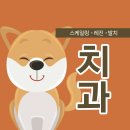 즐거운 동물병원 이미지