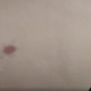 아이맥스(주) 이미지