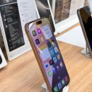 서원동-16 이미지