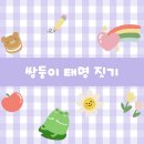 바른별;토리 이미지