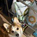 (주)미덴탈렙 | Daily | 눈을 뜨자 아니 눈을 감자