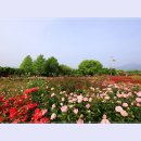 곡성-082 이미지