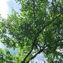 원선농장 이미지