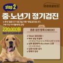 센트럴종합동물병원 네이버블로그