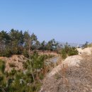 태신부동산 공인중개사사무소 이미지