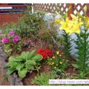 바다와푸른솔 이미지