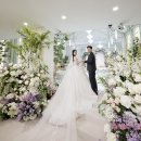 홈플러스서대전점(아이러브펫) | [W1] 대전 팔레드오페라 홀투어 | 26년 하반기 견적 공유 | 당일계약 | 주차 | 뷔페 | 시식 후기