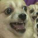 명동식품 이미지