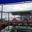 순정좌대 이미지