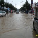 성주농협주유소 이미지