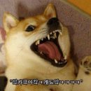 칠공주식당 이미지