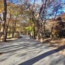 고요한연남 | 밀양 가볼만한 곳 | 단풍 절정의 아침, 표충사에서 만난 고요한 가을 실제 후기