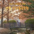 물길복원길2 | 안동 낙강물길공원 단풍 실시간｜메타세쿼이아 절정 포토존 주차정보 12월 공사 후기