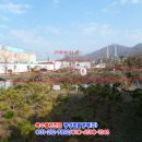 안성주유소 이미지