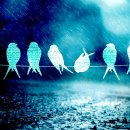 칸토피아노학원 이미지