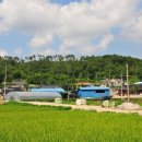 태촌마을 이미지