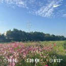 평화남산동주민센터 | 러닝ㅣ제22회 서울 강남국제평화마라톤 하프 완주 후기 - 서울MBN레이스 하프마라톤 연습