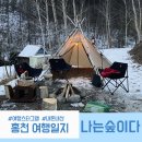 나는숲이다 이미지