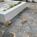 스테이솔솔바람 이미지