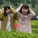 회천서초등학교 이미지