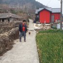 거문초손죽분교장 이미지