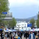 원산도 체육공원 푸드존 | 광주 동구 걷자잉 금남로 차없는거리 공연·대자보·이벤트·무료 체험존 역대급 총정리