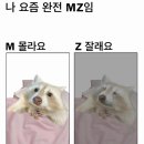 [개포2] 미래힐링 사주명리학 | [12월 2주차] 겨울잠이나 자고 싶어요