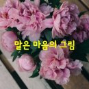 따뜻한 말 한 마디 이미지