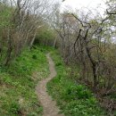 태백산가는길 이미지