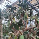 서부농업기술센터 이미지