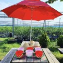 샬롬농장 이미지