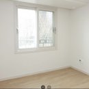 중문동-11 Daum카페