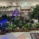 홈플러스주차장 입구 | 대구 수성구 꽃집 황금동 홈플러스 데코플라워 꽃다발