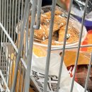 (주)타이어박스 | 코스트코 천안점 4월 방문 후기 할인 상품 추천 쇼핑 리스트