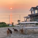 잠비스테이 이미지