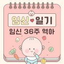 둥지세탁 | [임신일기] 임신 36주 막달 역아 돌기 성공! 손수건/아기 옷 세탁하기