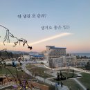 도계안경 | 쏠비치 삼척 이용후기(feat. BBQ, 베스킨라빈스, 삼척특산물판매장, 7321Story)