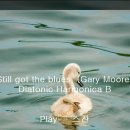 Still got the blues B(Gary Moore)과제물 이미지