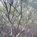 박상구농장 이미지