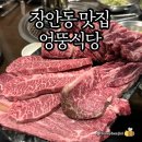 속초 브루스타 | 장안동 맛집) 엉뚱식당 - 장안동 소고기 맛집, 한우전문점