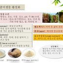 The method of soil microbial activation 토양 미생물 활성화 방법 이미지