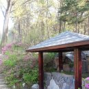 구래약수터 이미지