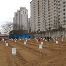 3월 봄나물 봄김치 이미지