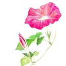 손불농장 이미지