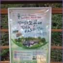 임진적벽길 이미지