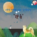 블랙벨트 월드 태권도 이미지